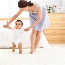 傻大姐家政 產(chǎn)品展示與店鋪裝修設(shè)計