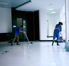 新居清潔全攻略 家政服務(wù)與實用技巧